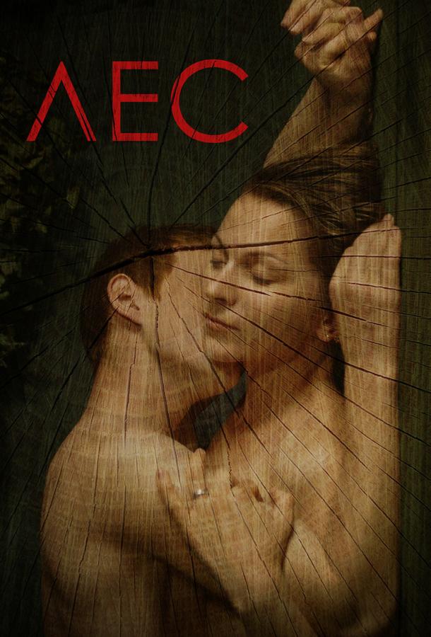 Смотреть Лес